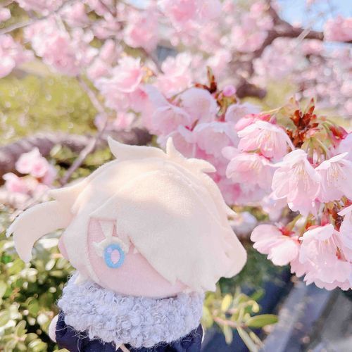 春が来た
