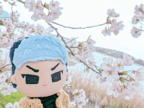 桜、見に行けてよかった…！