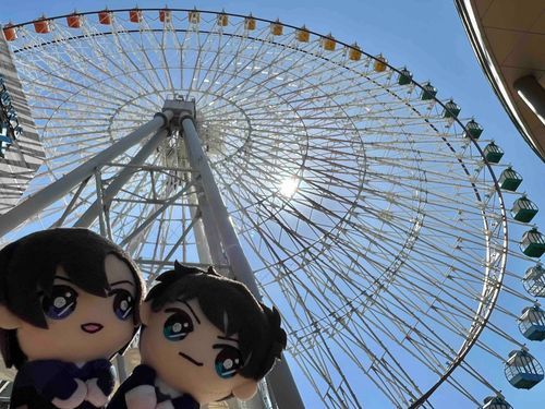 🎡