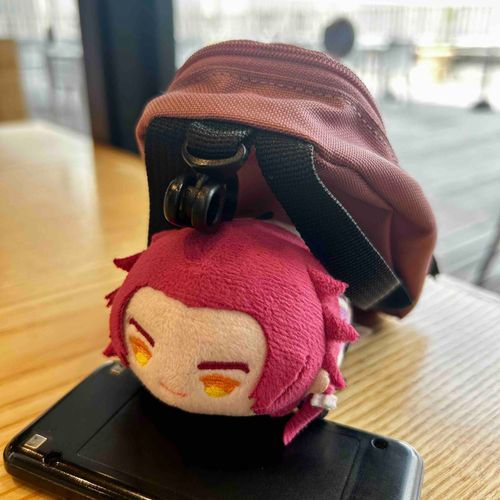 りゅっくを買ってもらいました！
これに沢山オヤツをつめてお出かけです(*`･ω･´)