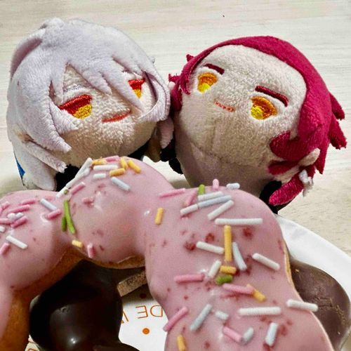 本日のオヤツはドーナツです
ドーナツ大好きです
🍩⸜( •⌄• )⸝🍩