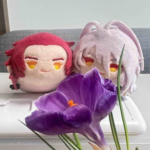 とんちゃんの
クロッカスが咲きましたぞ！
綺麗ですなぁ✺⋆* (⸝⸝⸝´▽`⸝⸝⸝)⋆*✺
