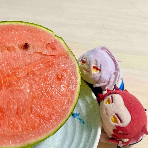 今日のおやつはスイカですぞ！
(∩´∀｀)∩ﾜｰｲ