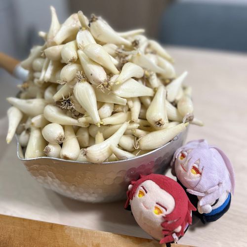 今年も
頑張りますぞ(ง •̀_•́)ง