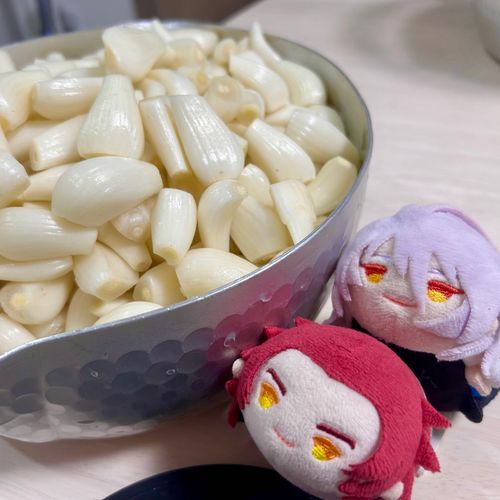 むきむき
ツヤツヤヽ(｡･ω･｡)ﾉ