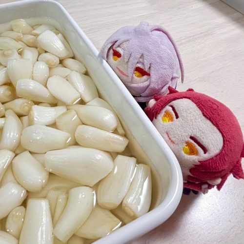 塩漬けです！(｀･ω･´)