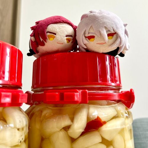 今年のらっきょうです！
塩漬け塩抜き完了して
甘酢にドボン(* 'ᵕ' )☆