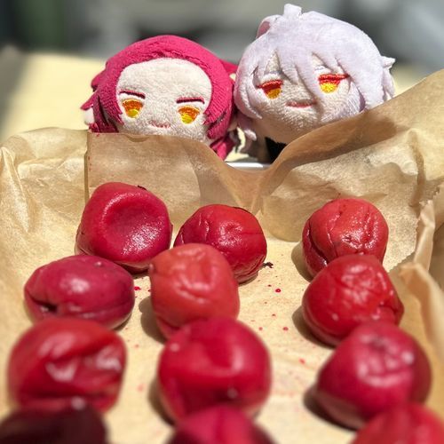 今日は梅干しを干します。
うめぼｼｨ(｢🔴･ω･)｢🔴
