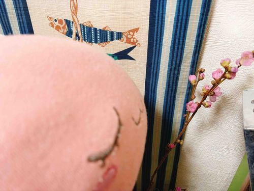 ホゴシャ が、もも の はな を かってきたよ！！
ひなまつり がちかいからだって。
「たべちゃダメ」っていわれたけど、
ぼすちゃん おはな は たべないよ！