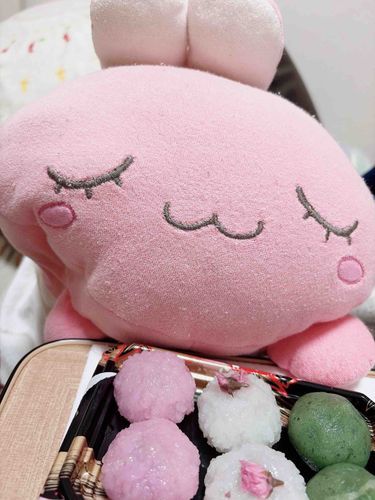 まえだおし の ひなまつり！！
ホゴシャ と いっしょに さんしょく の わがし を たべたよ！！