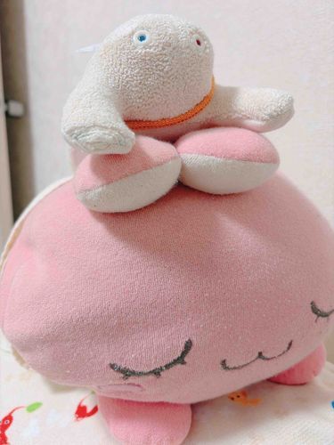 あたらしい おともだち

「クツシタじん」って いうんだって！
おうち に きてくれた こ は、まっしろ な こ だったよ！
ぼすちゃん、なかよくなれるかな？？