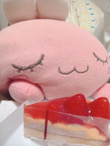 いちごタルト！！
ぼすちゃん、いちごタルト だいすき！！
ホゴシャ も、いちごタルト すきなんだよ！！