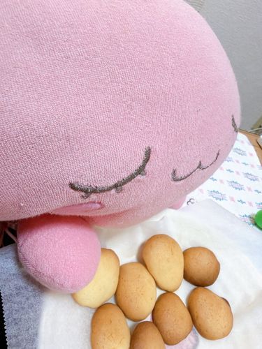 きょうは、ホゴシャ が おしごと おやすみ だから、やきたて クッキー で いっしょに おやつタイム したよ！！