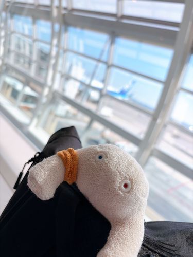 ちいさな おともだち

クツシタ人のくっくといっしょに、飛行機。
天気が良くて良かったね☀️