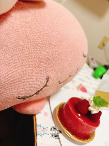 ホゴシャ は たいふうのなか おしごといって えらかった から、いっしょに フランボワーズ の ムース たべて 「おつかれさま」 って したよ！！
