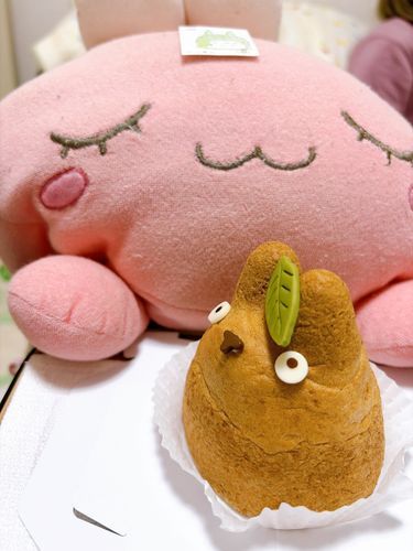 ホゴシャ が、おみやげ に トトロのシュークリーム を かってきたよ！！