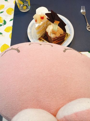 ふつか れんぞく で、おでかけ だったよ！！
きょう は、ホゴシャ の いもうと ちゃん の おうち に あそびにいったんだ♪♪
いもうと ちゃん が、ぼすちゃんにって ケーキ を よういしてくれたよー！