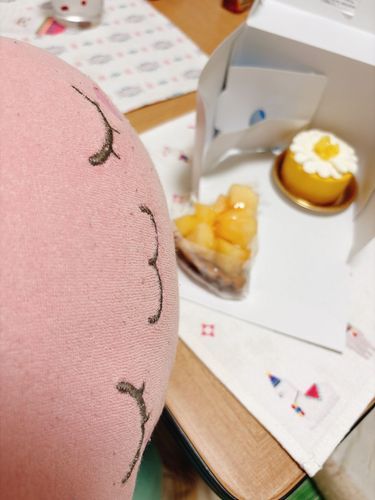 みんなのとこは、かみなり だいじょうぶ かな？？
ぼすちゃん は、おうち で ホゴシャ と きんじょ の ケーキやさん の タルト をたべたよ！！