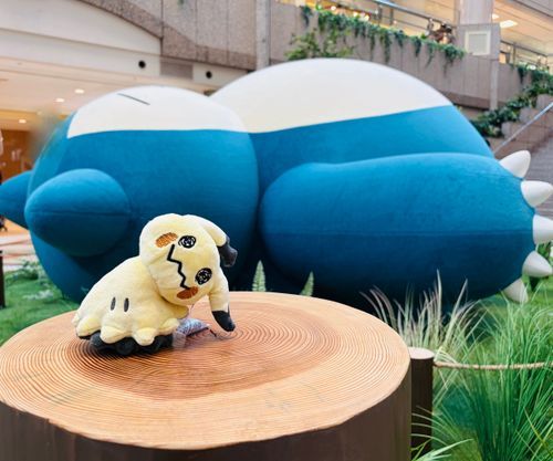 ミミッキュ、おっきなカビゴンだよ