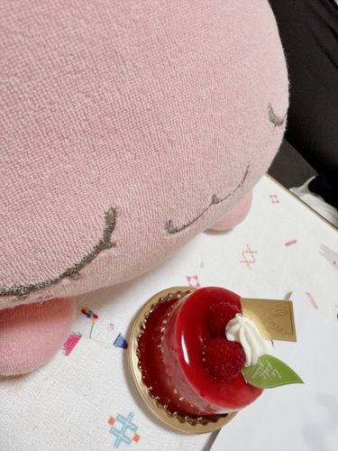 ホゴシャ は、「けんこうしんだん」ってやつ を たおしたんだって！！
おいわい に いっしょに ケーキ たべるよ♪♪