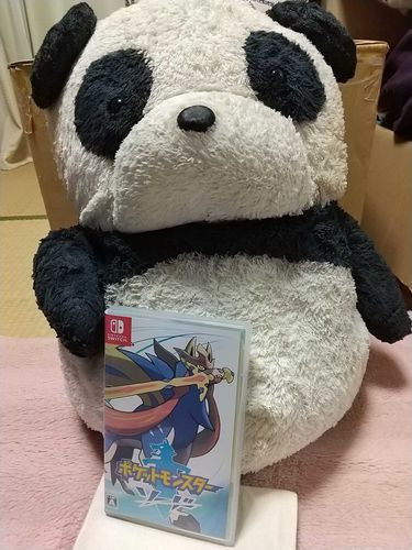 ポケモンマスターなれるかな