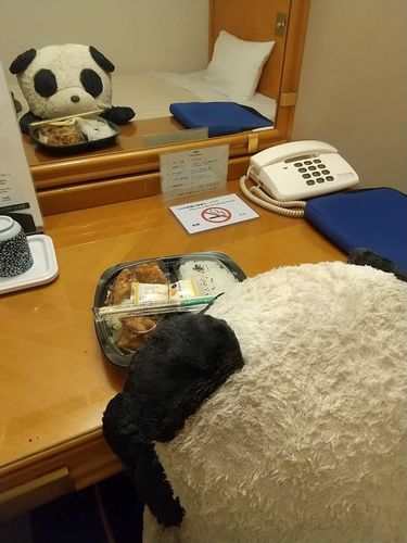 鏡に映った弁当と2人
