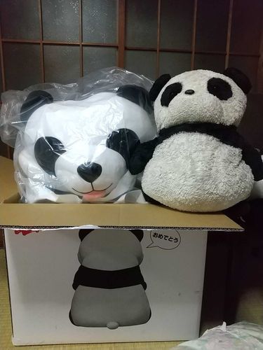 でかいのが来た！！