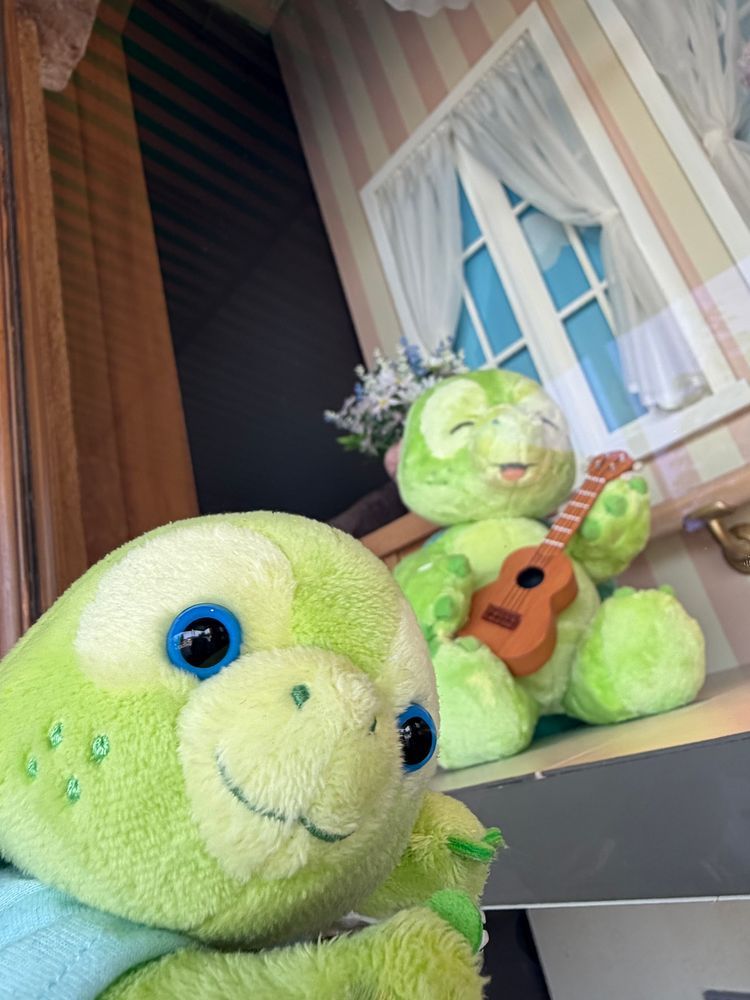 カメちゃんの久々帰省🌏🐢