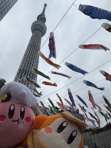 屋根より高い〜🎏