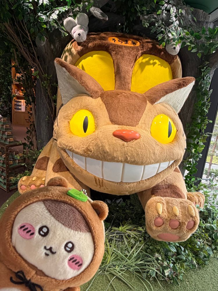 たぬき先輩と💚