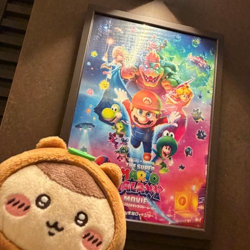 たぬき先輩と映画鑑賞🎞️🍄🌟
