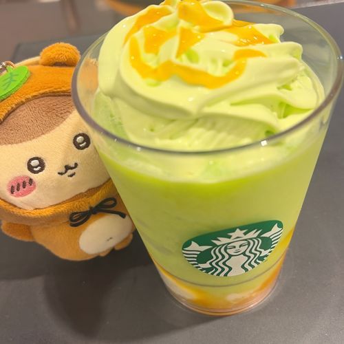 たぬき先輩とメロンフラペチーノ🍈