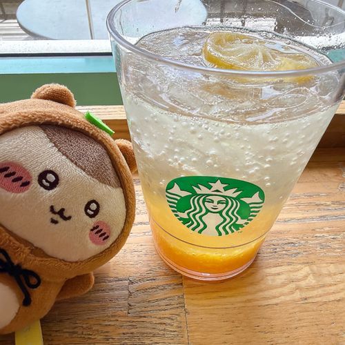 たぬき先輩とゆずソーダ🥤