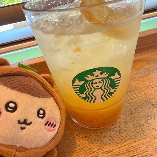 たぬき先輩とゆずチルソーダ🥤