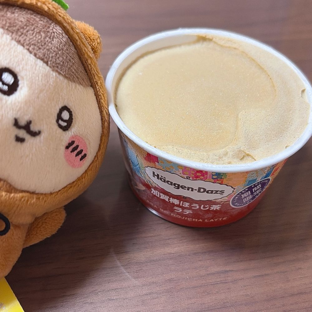 たぬき先輩とほうじ茶アイス🍨