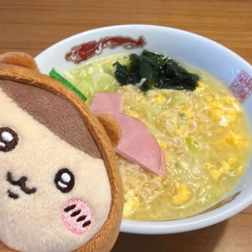 たぬき先輩と塩ラーメン🍜