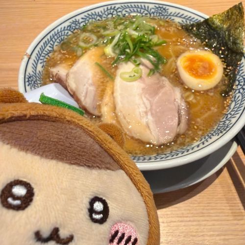 たぬき先輩と丸源ラーメン🍜