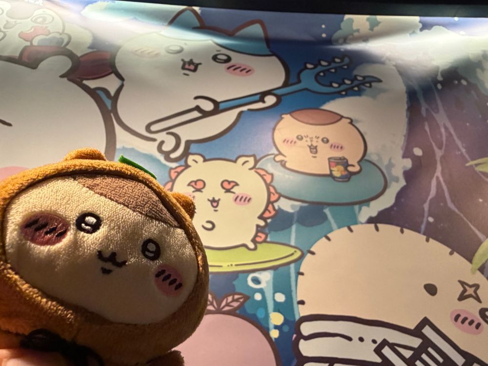 映画が楽しみなたぬき先輩🎬