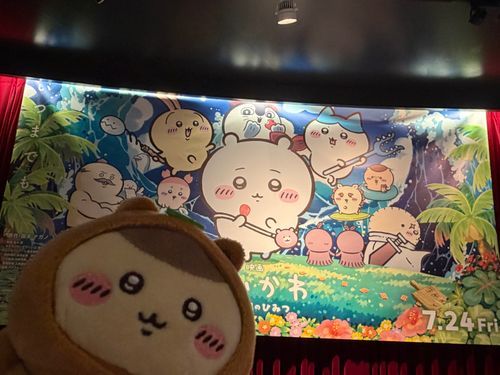 映画が楽しみなたぬき先輩🎬
