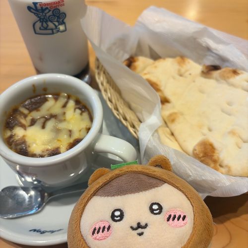 たぬき先輩とコメダカレー🍛