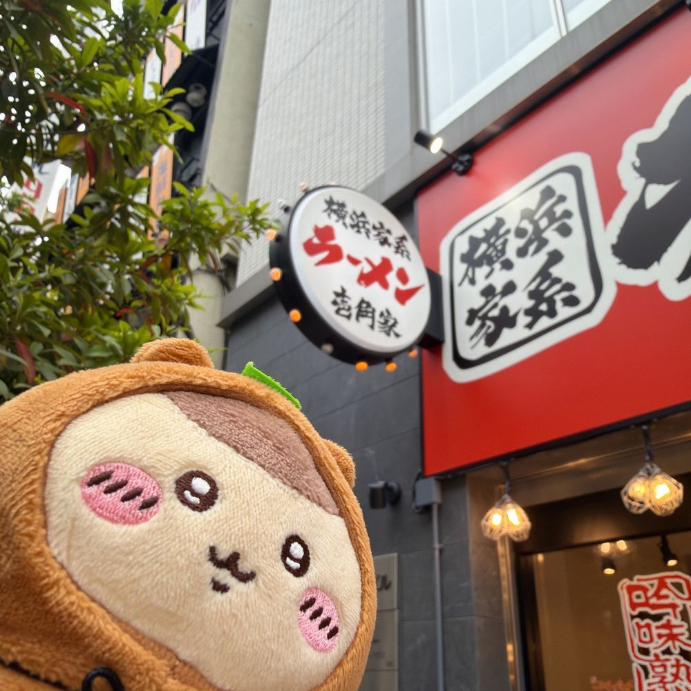 たぬき先輩と家系ラーメン🍜🍃