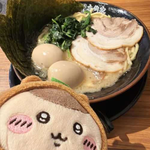 たぬき先輩と家系ラーメン🍜🍃