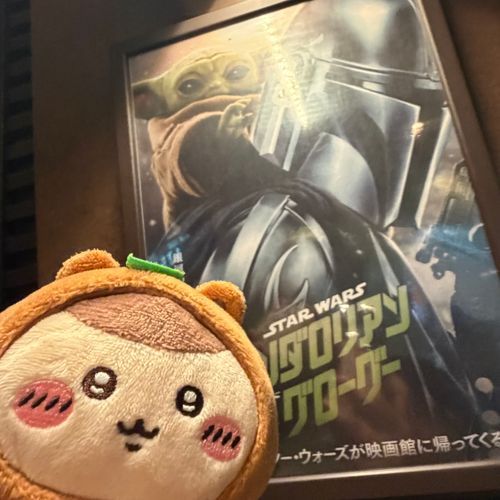 たぬき先輩と映画鑑賞🎬🪐