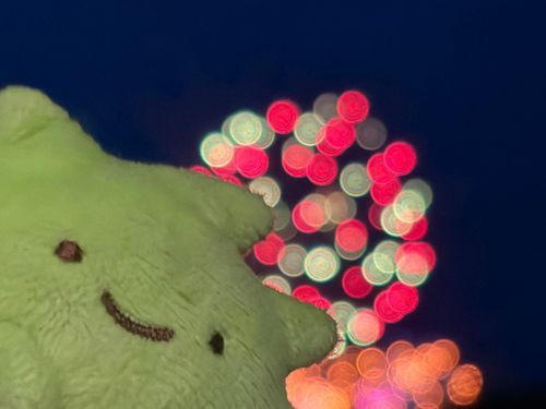 ざっそうちゃんと花火大会🎆