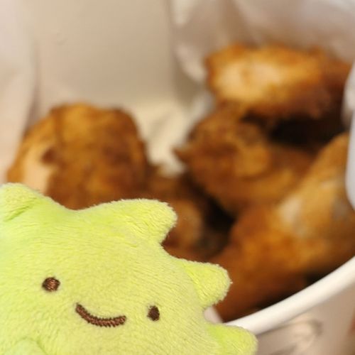 ざっそうちゃんとケンタッキー🍗