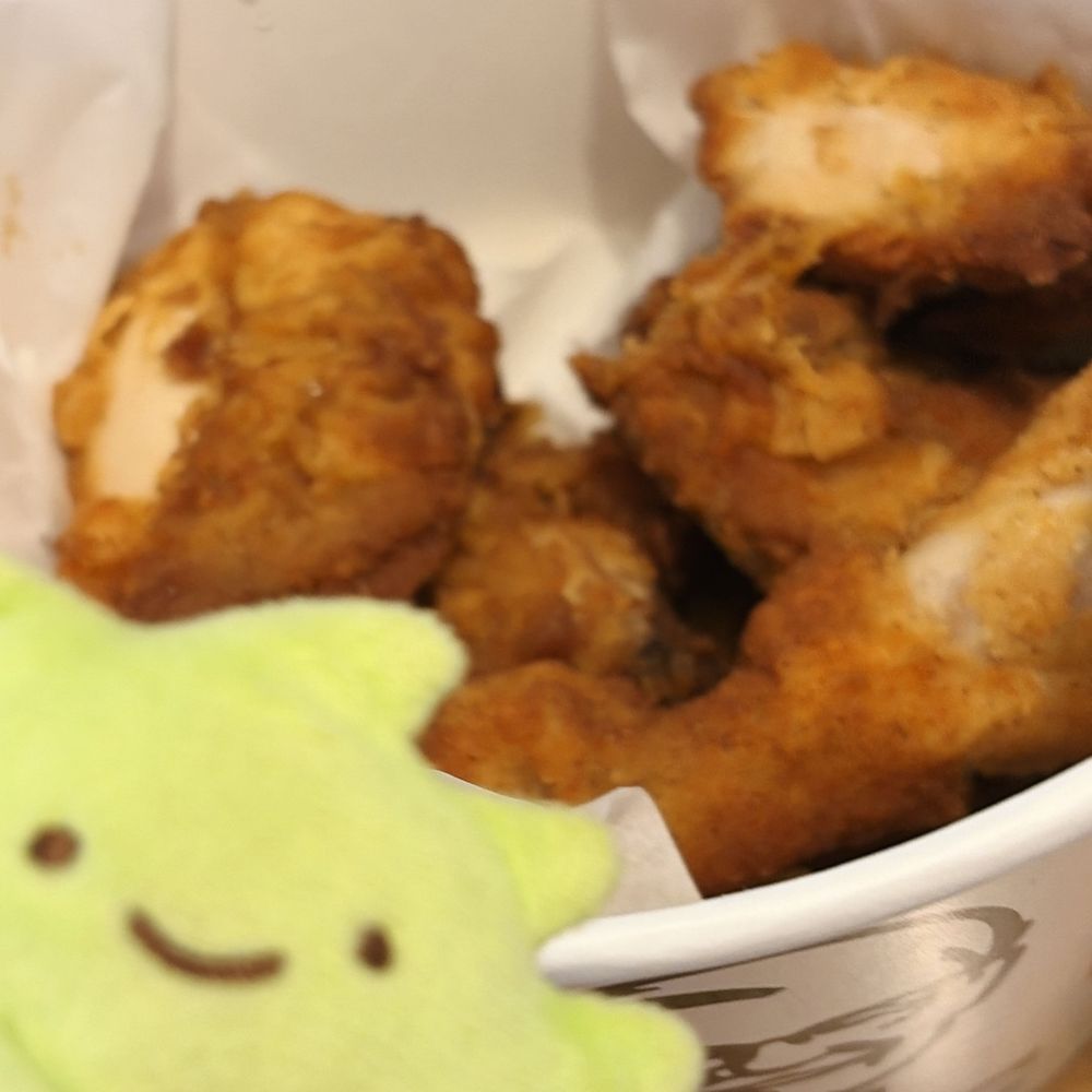 ざっそうちゃんとケンタッキー🍗