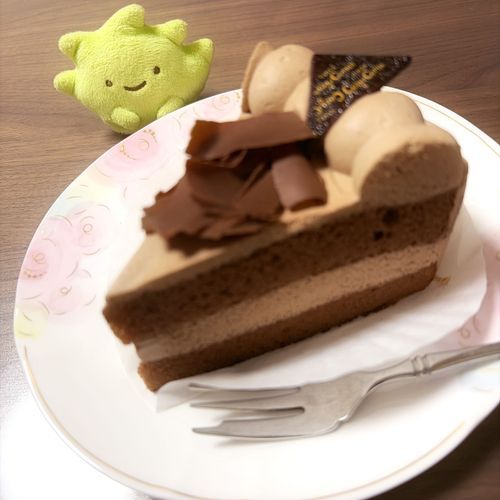 ざっそうちゃんとチョコケーキ🍰
