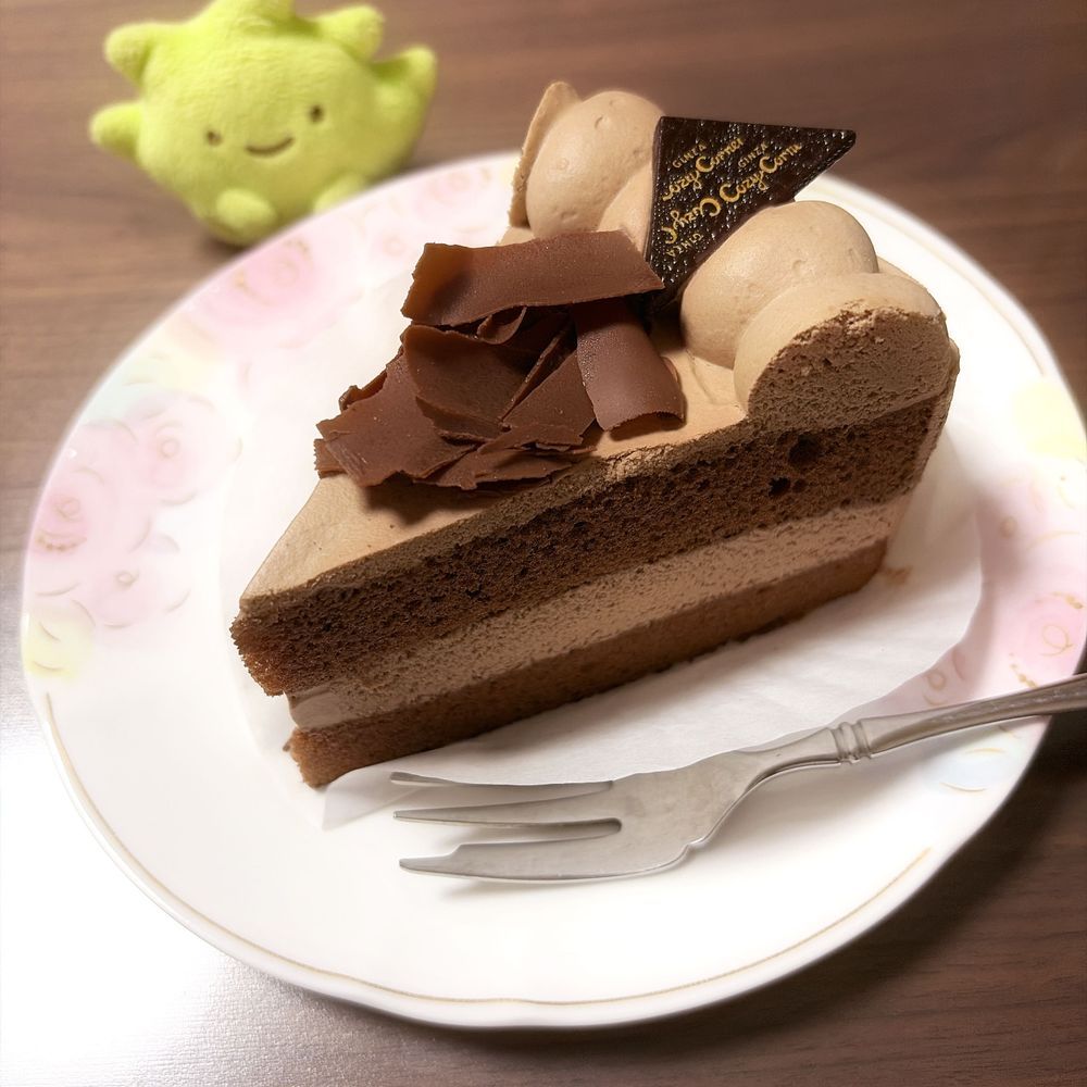 ざっそうちゃんとチョコケーキ🍰