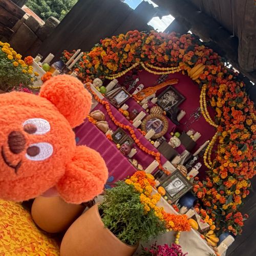 ハロウィン🎃🎃🎃🎃