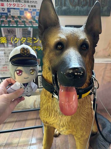 僕は犬派